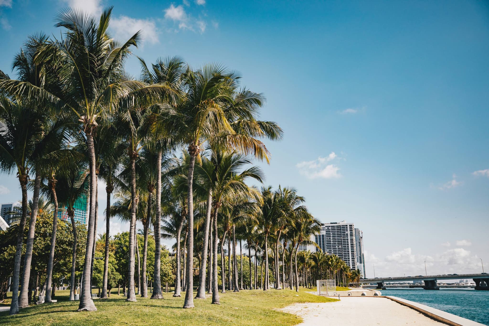 Permit Advisory from First American Arborists across South Florida
